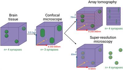 Bringing synapses into focus: Recent advances in synaptic imaging and mass-spectrometry for studying synaptopathy